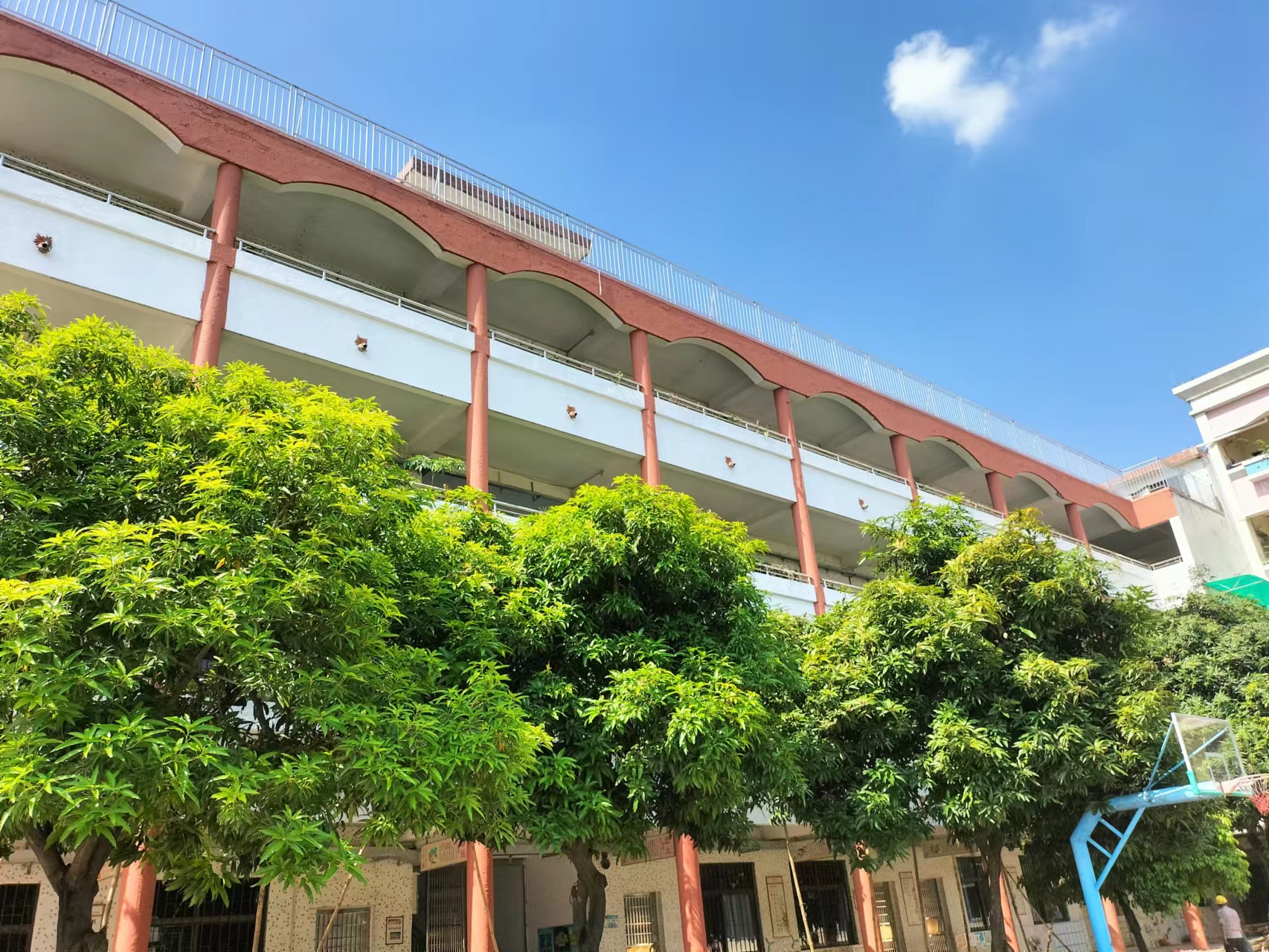 顺德容桂红旗小学楼顶北座教学楼